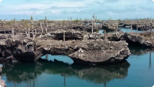 Löchrige Lava: Los Túneles