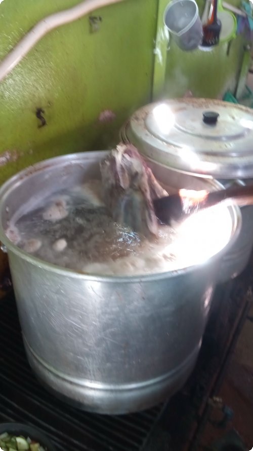 Not quite cooked yet: Cow's head in the pot (Cabeza)