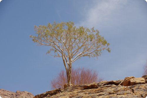 Brandberg
