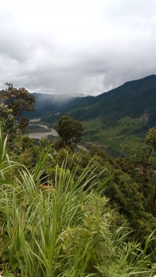 Amazonianisch:Tal im Sangay Nationalpark